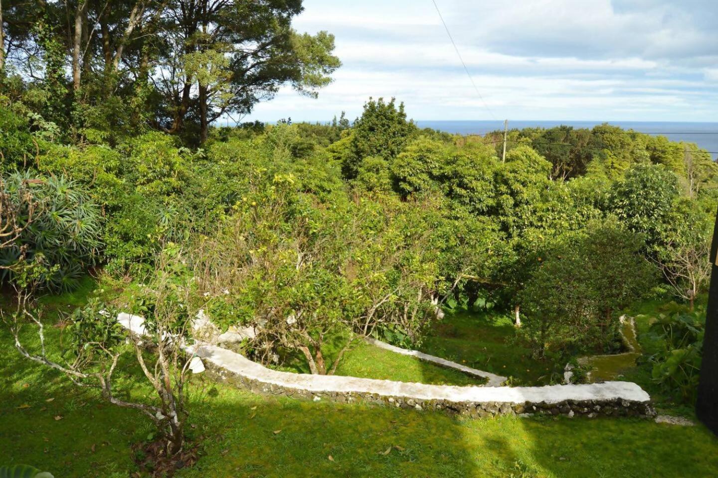The Emigrant House By Pontanegraazores Biscoitos  Bagian luar foto